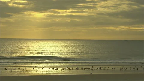 Florida-Daytona Beach Activities Video stock 167546154