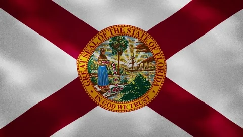 Florida dense flag fabric wavers, background loop Stock Footage