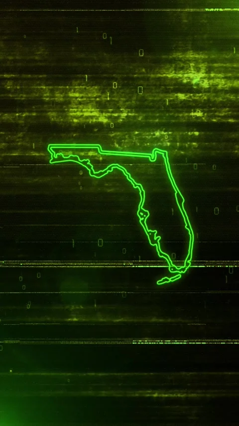 Florida Digital Futuristic Glitch Map Vídeo Stock 334725404