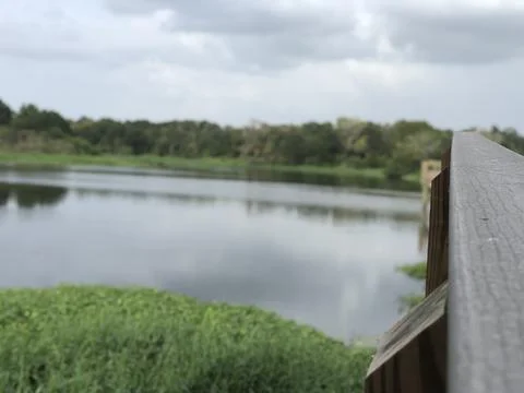 Florida Dock 库存照片