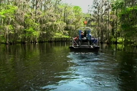 Florida Everglades (13) Video stock 106692