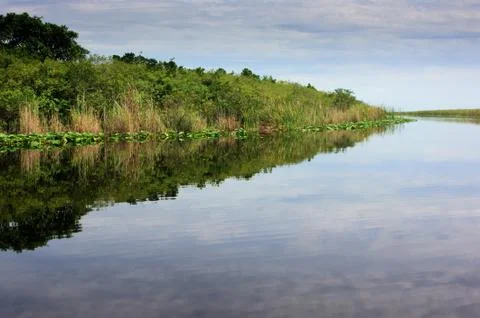 Florida everglades Stock Photos