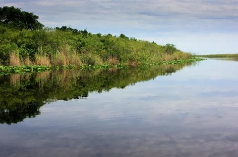 Florida Everglades Stock-Fotos