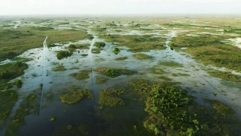 Florida Everglades Swamp aerial Stock Footage 157898705