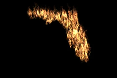 Florida on Fire Stock Footage 728426