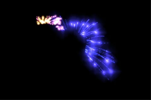 Florida Fireworks Stock Footage 718627