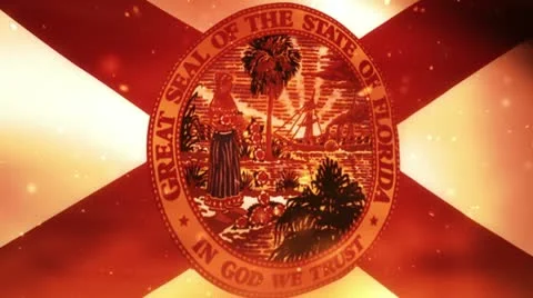 Florida flag on fire Video stock 11212686