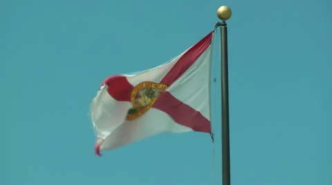 Florida Flag Stock Footage 10901863