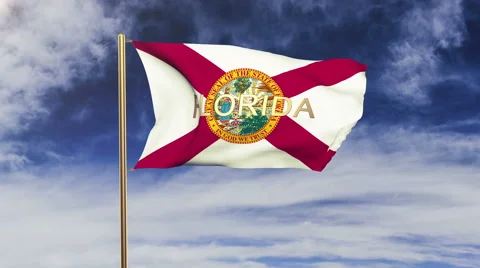 Florida flag with title waving in the wind. Looping sun rises style.  Animation 스톡 동영상 48162320