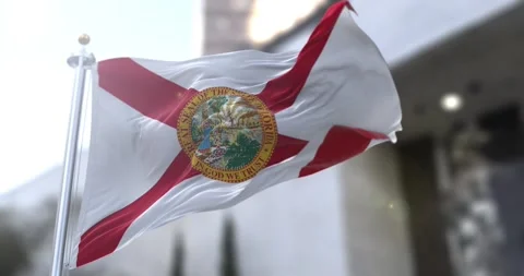 Florida flag waving-seamless-loop-4k-60fps Stock Footage 344942494