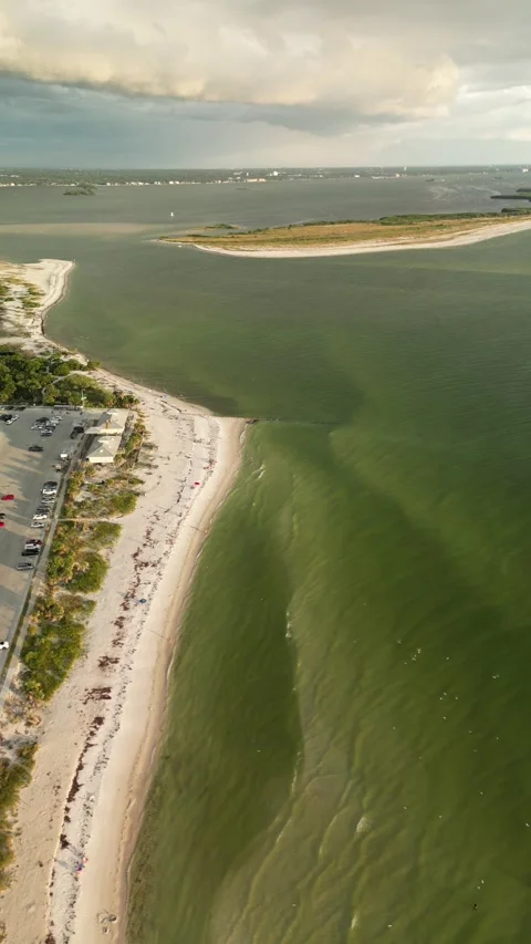 Florida Stock Footage 318689671