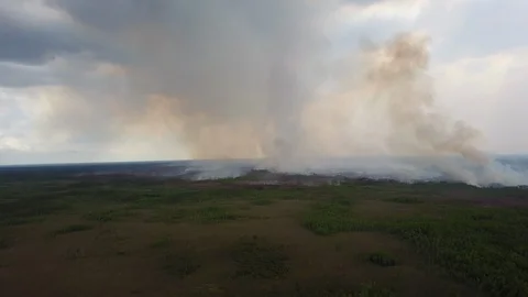 Florida Forest Fire Everglades aerial wide smoke horizon Stock Footage 101967413