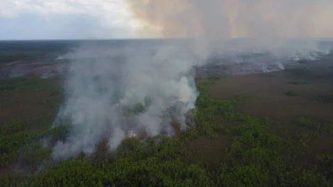 Florida Forest Fire  Everglades aerial quick retreat Video stock 101974076