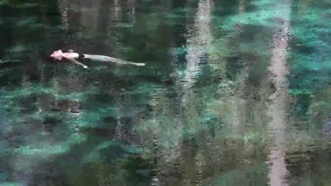 Florida fresh water spring. Stock Footage 69147916
