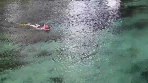 Florida fresh water spring. Stock Footage 69147928