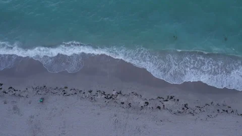 Florida Golden Hour Stock Footage 260423332