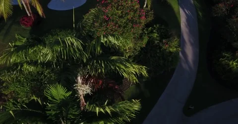 FLORIDA GOLF 22 Video stock 84143067