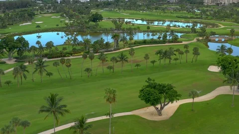 Florida golf course with palm trees Stock Footage 113410592