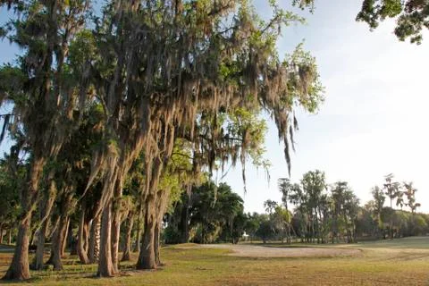 Florida golf course Stock-Fotos