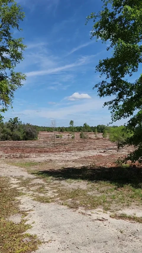 Florida Housing Development Construction Vídeos de archivo 326670779