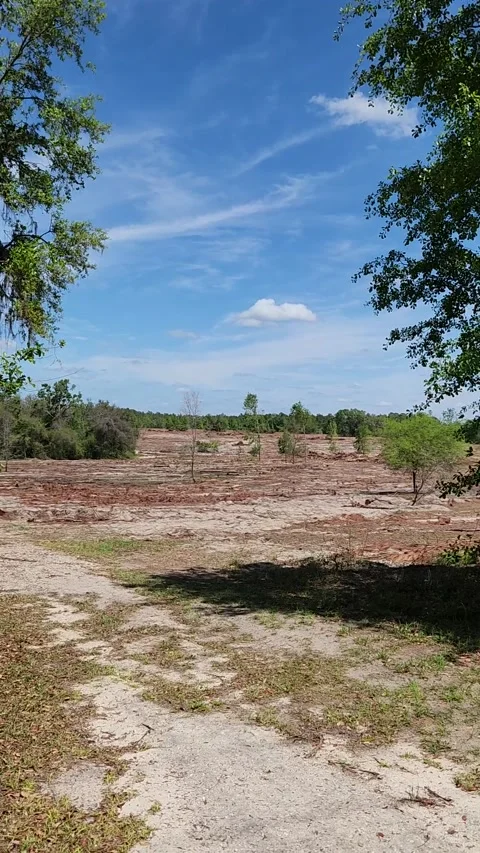 Florida Housing Development Construction Vídeos de archivo 326670780