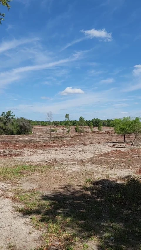 Florida Housing Development Construction Vídeos de archivo 326670781