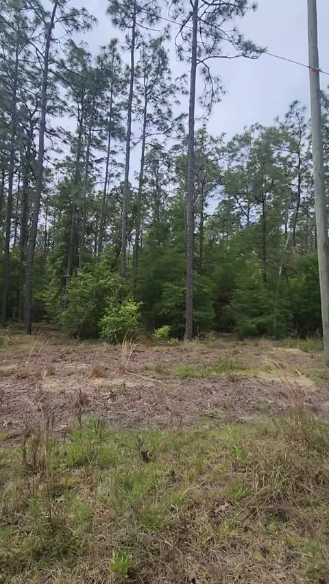 Florida Housing Development Construction Vídeos de archivo 326677581