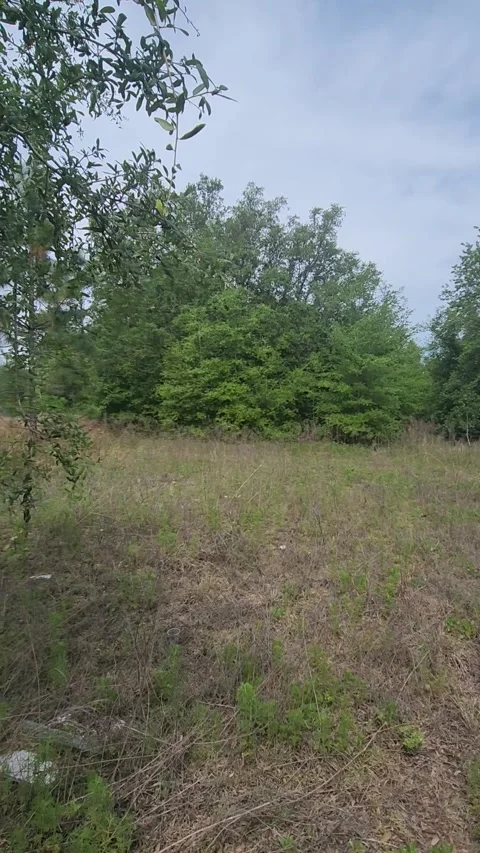 Florida Housing Development Construction Vídeos de archivo 326678441