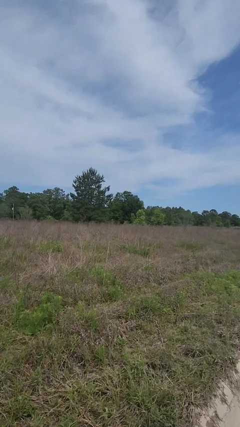 Florida Housing Development Construction Video stock 326678445