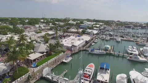 Florida Key West Harbour 스톡 동영상 172299478