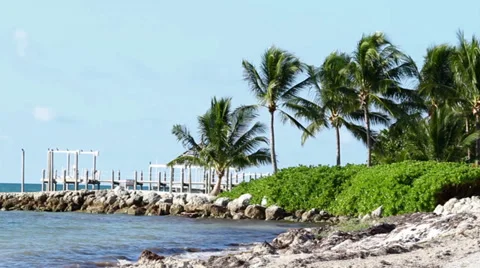 Florida Keys beach-closeup Stock-Footage 32789501