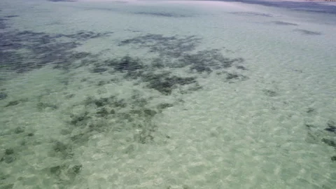 Florida Keys Beach, panning up over the blue water Stock Footage 251461241