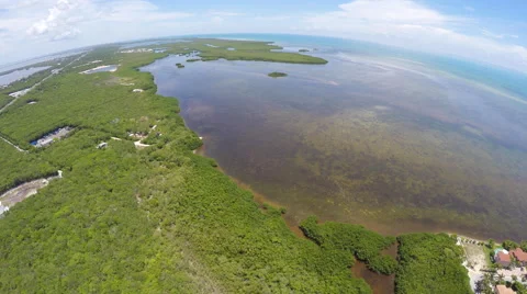 Florida Keys Key Tarvernier 2 스톡 동영상 53232645
