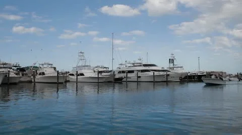 Florida Keys Marina Stock Footage 10588817