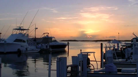 Florida Keys, Marina of Isla Morada at sunset Video stock 37179908