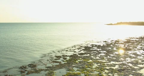 Florida Keys nature landscape Overseas Highway 4k 60p Stock Footage