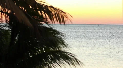 Florida Keys Ocean view Stock-Footage 33729433