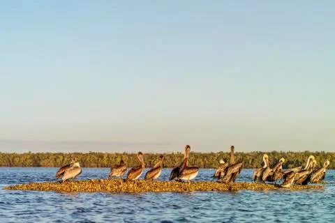 The Florida Keys 스톡 사진