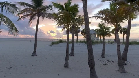 Florida Keys sunrise Stock Footage 94388413