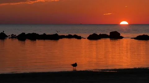 Florida Keys Sunset 4K - 01 Stock Footage 51595501