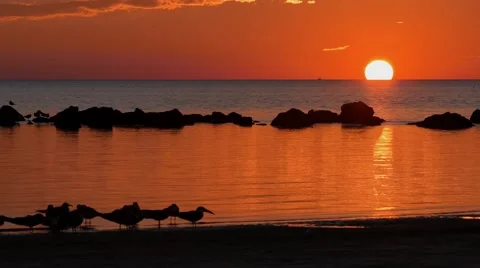 Florida Keys Sunset 4K - 02 Stock Footage 51590837