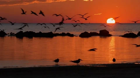 Florida Keys Sunset 4K- 03 Stock Footage 51590836