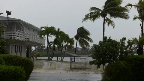 Florida Keys wait for Hurricane Irma Stock Footage 105122393