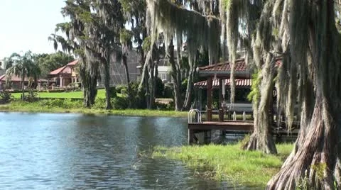 Florida Lake Vidéo 10716759