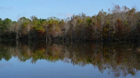 FLORIDA LAKESCAPE  Stock Footage 230052984