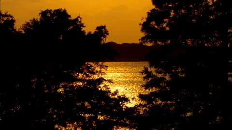 Florida Lakeside Sunset 스톡 동영상 30804621