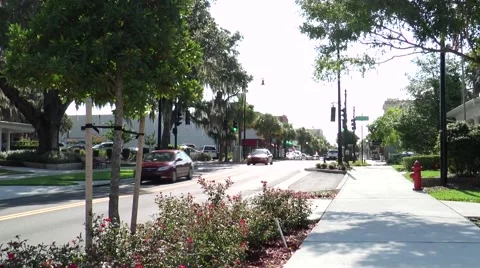 Florida Main Street-5 Stock Footage 52643544