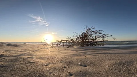 Florida Mangroves Stock Footage 294954306