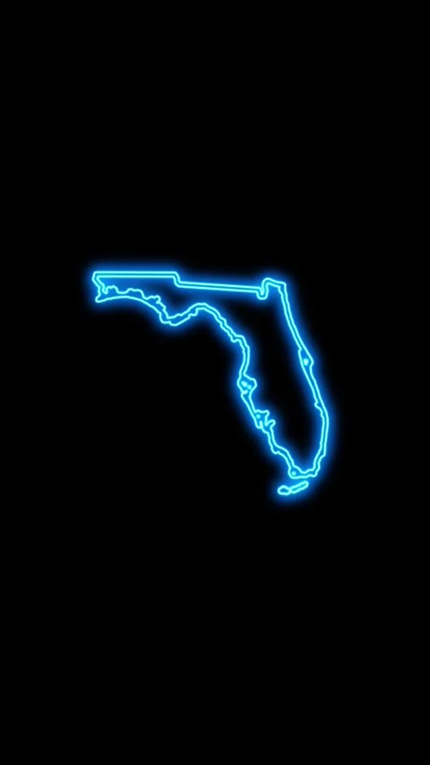 Florida Map Outline Neon Lights Video stock 333118823