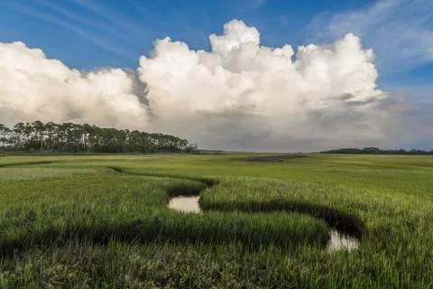Florida marsh with clouds Stock Photos